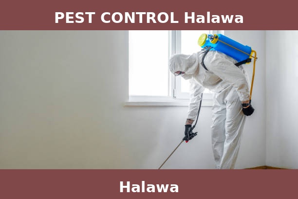 PEST CONTROL Halawa
